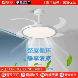 风扇灯;电风扇;吊扇