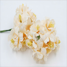 ��ˇɽ�軨������DIY���hϲ�Ǻа��b�Y�аl�����������滨ˇ