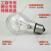 白炽灯泡E27螺口老式5w1525w40w60w100w200w钨丝普通照明灯泡黄光