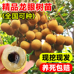 ���ۘ��m�޽�����ˮ�����烦�����Aʯ��ȫ���ļ��Nֲ���䮔��Y��
