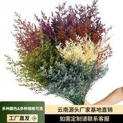 雲南の永生花の恋人の草は新鮮な乾いた花のバレンタインデーの永生花の乾いた花の花の材料を配合して花の越境の卸売りを配合します。
