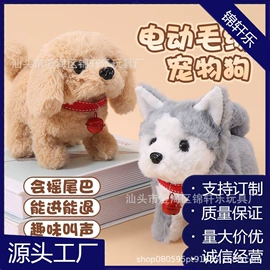 电子宠物;电动轨道车;发光玩具