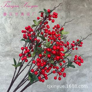 �羳�}�Q�G�~�t�{�� �lؔ�� ���涬��� �������ҾӔ[�� ��Ͱ�b�