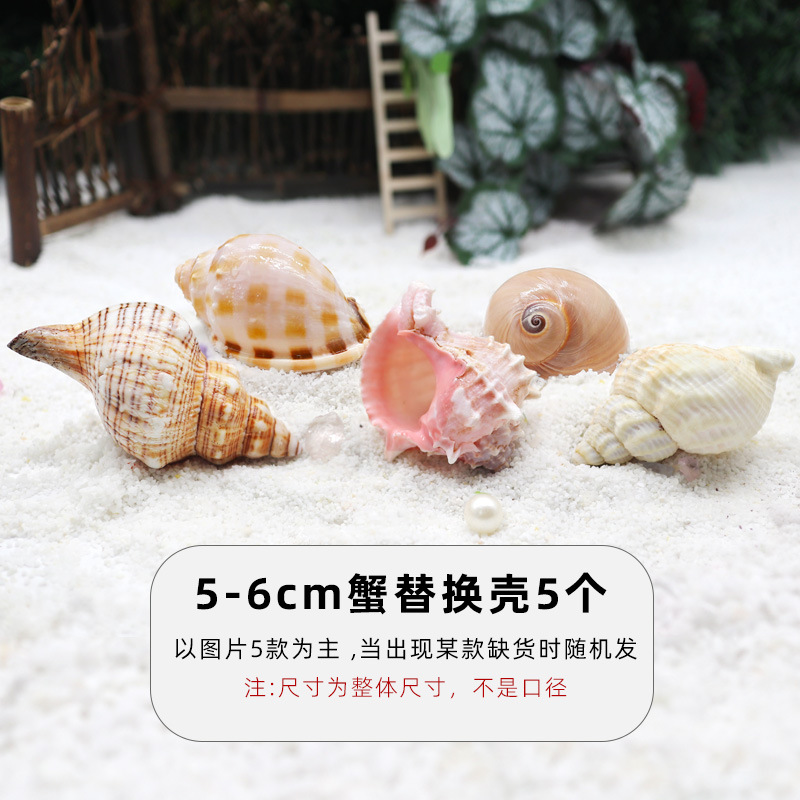 5-6cm 게 교체껍질 5개 [결합팩B]