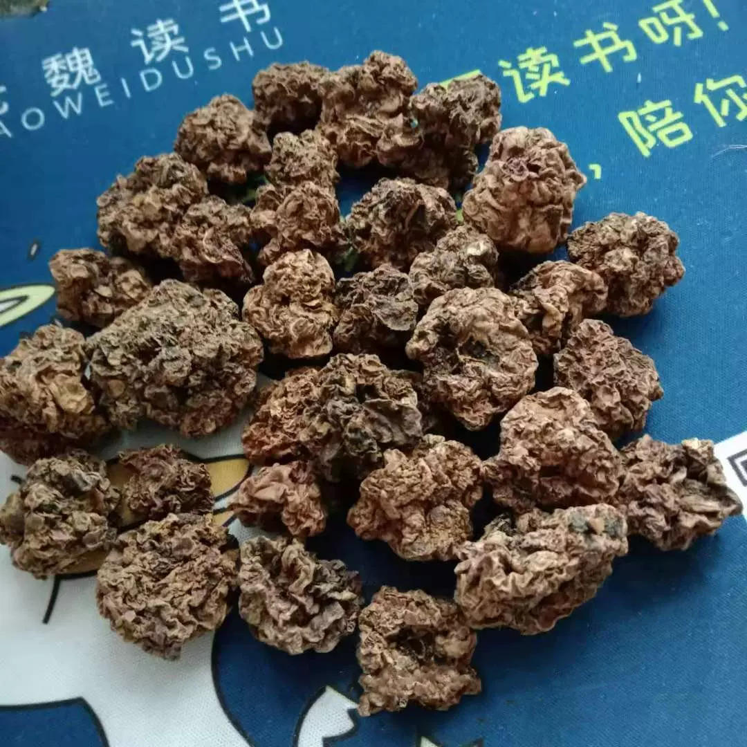 木天蓼虫瘿果猫咪啃咬磨牙玩具猫咪爱吃的木天蓼果实