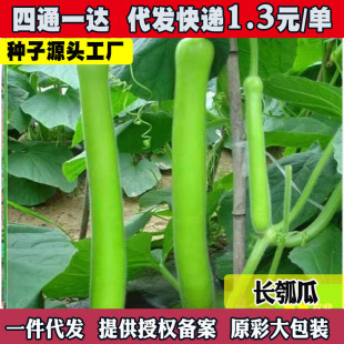 ��������ӹϷN�������ѹ��L�ϴ����＾�˺��J��ͥԺ���ٲ�