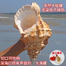 �����ݴ��ݚ�ؐ�����]�b[̨�~���쾰��ʯ��̖ؐ������ؐ��