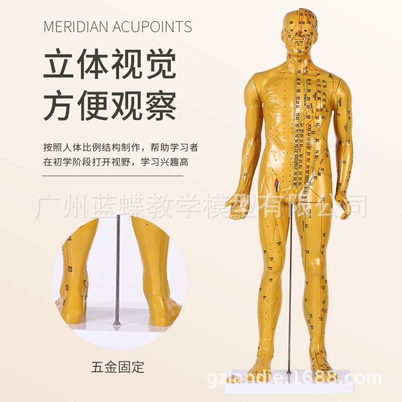 85CM���ͭ �� �������ģ�;���Ѩλ��ҽȫ��ʮ��ͭ��ģ��ͼƤ��