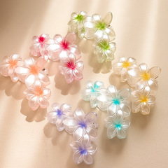クロスボーダーの新型の小さい卵の花は髪をつかみます。