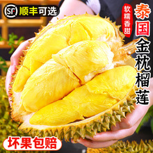 泰金枕榴莲进口现货速发新鲜水果整个10斤带壳巴掌榴莲顺丰可选