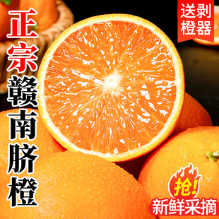 ����S���]�������M��Ě��Ě�����rˮ���Fժ10������M�ݳ������l