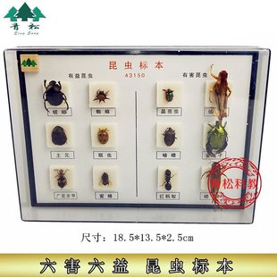 ���x�˱� 6��6�� J43150 ����˱� �������� �ЌW�̌W�x��