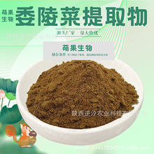 委陵菜提取物10:1/30:1/50:1比例委陵菜粉 翻白草提取 白头翁提取