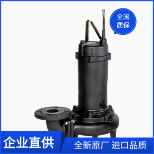 EBARA-��ԭDLPϵ�Н�ˮ���۱�/��ˮ��ˮ�� DLP