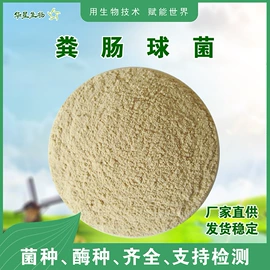 其他饲料添加;营养性添加剂