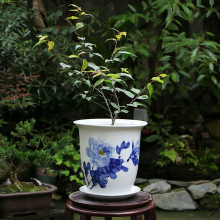 景镇青花瓷兰花盆家用花卉植物客厅书房盆栽大号手绘陶瓷花盆包邮