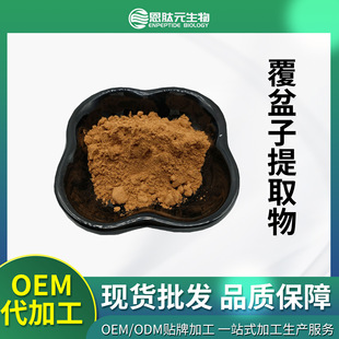 Raspberry Extract 20:1 Raspberry Flavones Raspberry Powder Raspberry Powder Manufacturer Spot Free Shipping