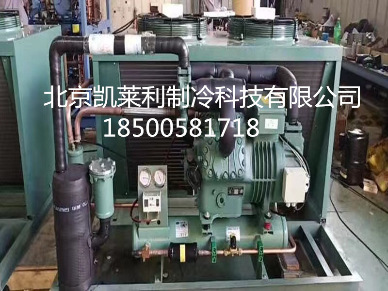 北京比泽尔冷库机组 比泽尔4EC-4.2保鲜库4EES-4制冷设备压缩机