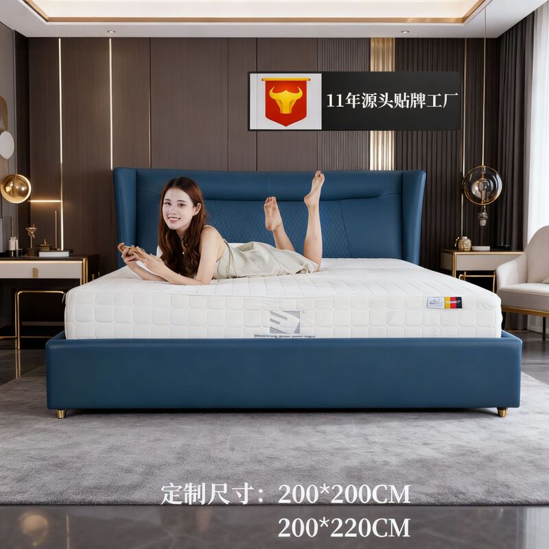 Large Size Customized Smart Mattress German Smart Electric Mattress Bedroom Electric Bed Shopping Mall Supply Smart Bed