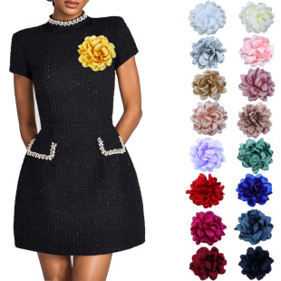 12���׾W�t�¿�沼ˇ���w������ᘰl�A���|����Ɍ����