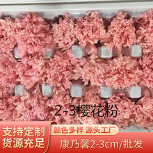 云南康乃馨2-3花头母亲节生日礼物永生花 生日礼物保鲜花礼品
