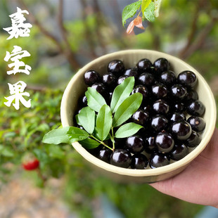 ��̨���Ό���~�����ѡ������r��һ����ζ2�����rˮ��һ�����l