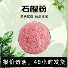石榴粉 淡粉色粉末 易溶于水 石榴果香 干燥避光储存 现货直发