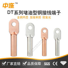 dt铜鼻子接线端子酸洗镀锡国标电工接线鼻电缆终端头耳镀锡铜鼻子