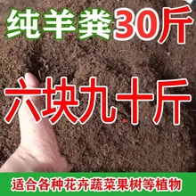 纯羊粪腐熟发酵有机肥料鸡粪有机蔬菜花卉养花通用营养土批发