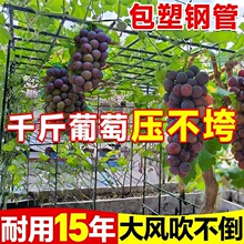 ���P����Ѽ��ӑ��⻨���S�����ټ�ֲ��֧�ΗU������z��������