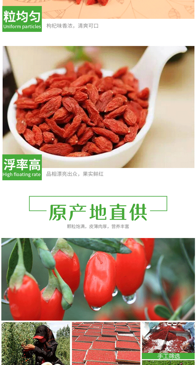 Ningxia Red Goji Berries Large Dried Wolfberry Fruit Herbal Tea Wellness Tea 150g Jar in use