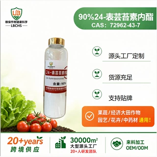 店长推荐90%24表芸苔素内酯原药CAS:72962-43-7 自有PD证源头工厂