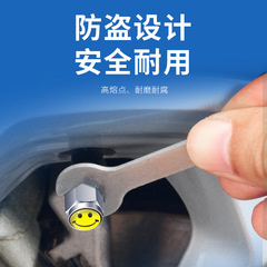 Anti-theft car tire valve cap, electric motorcycle tire core cover, metal dust-proof cap, universal