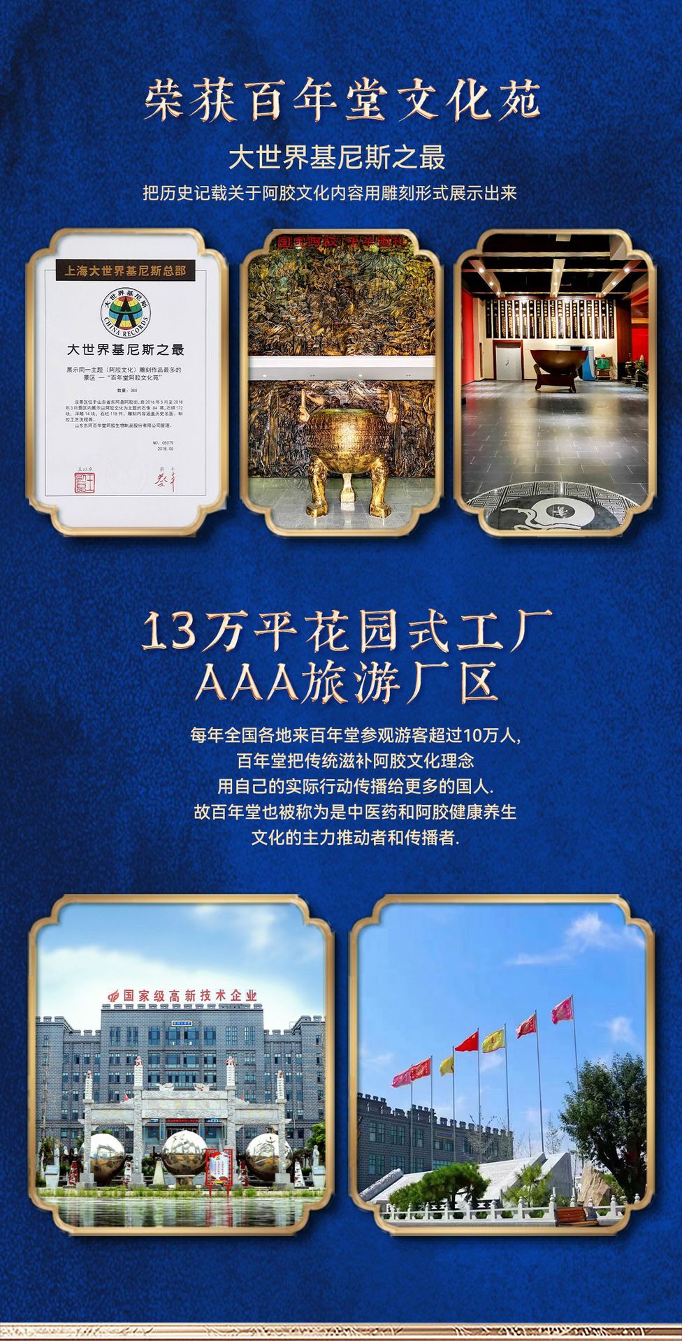 Ejiao Instant Powder (Donkey-Hide Gelatin) — Traditional Chinese Collagen-Rich Herbal Powder quality and texture