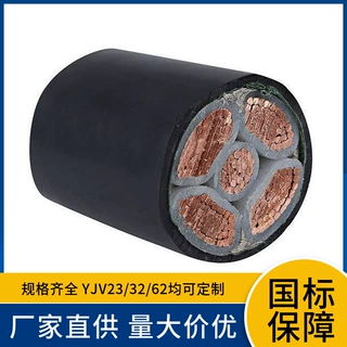 定制B1级WDZB1N-YJY63低烟无卤非磁性金属带铠装阻燃耐火国标电缆