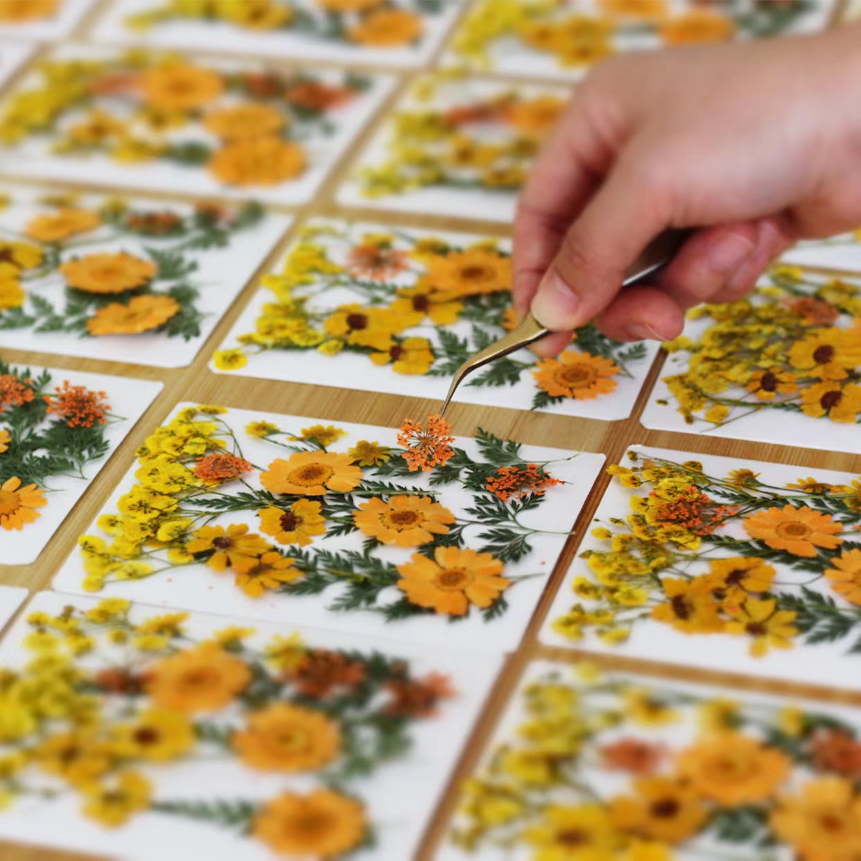 微信图片_20220928120607