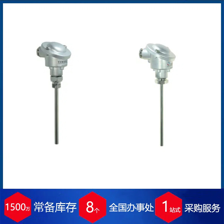 德国TEMATEC热电偶温度计WT 7030
