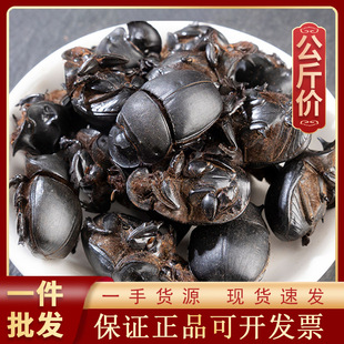 1000g������ș�ĬF؛���l������؛Դ�^�S��һ�� ʺ���� �}���x