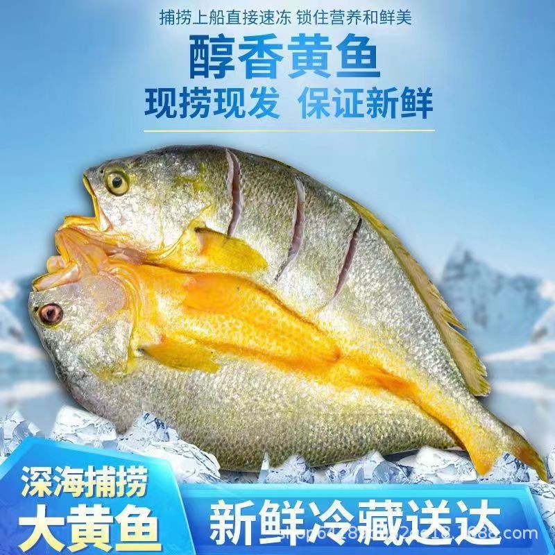 鲜大黄鱼免洗即蒸或煎醇香黄鱼鲞黄鱼干东海脱脂大黄花鱼海鲜活厂