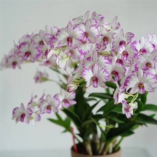 ʯ���m�����Ծ�Ʒ�ם�īʯ���F�������҃��̨�����ļ��m�������L