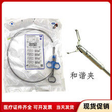 �Ͼ�΢���t�W�ȸQ�R�����������D�؏��_�]ܛ�M���A⁊AֹѪ���C�A