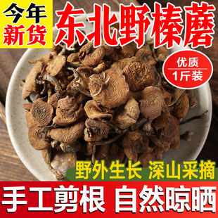 �Ģ�|��Ұ��Ģ���ظ�؛���L��ɽС�u���㹽�ĸ���Ģ黹����b