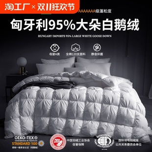 Hungarian down Quilt 95% White Goose down Winter Quilt Warm Spring and Autumn Quilt Core Quilt Cover Pure Cotton Jacquard Three-Dimensional Fluffy