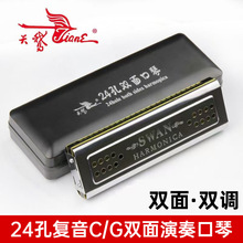 ���Z24���p���p�{������� ����CG�{�W�����˾���������������