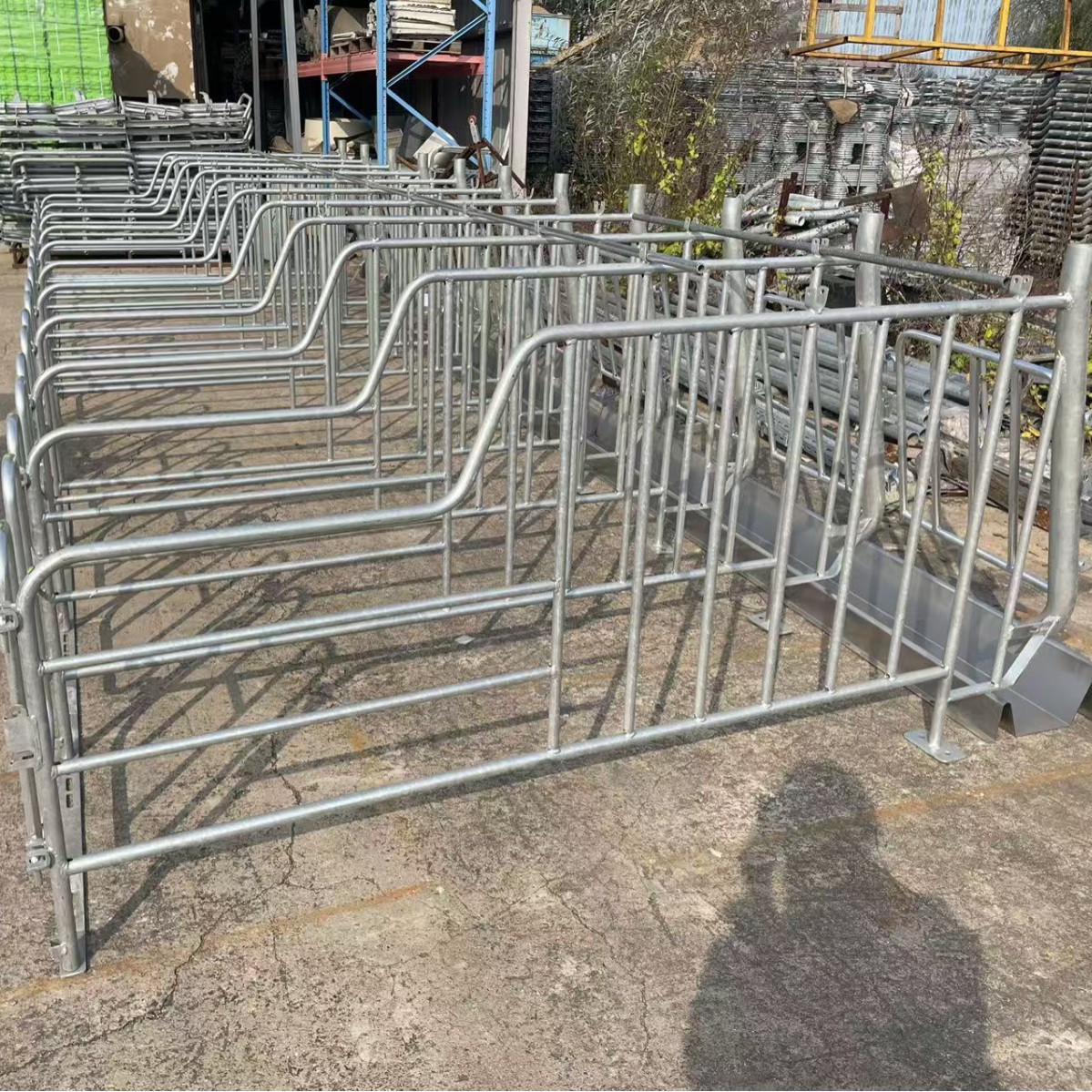 2025-10-30 12:52:55.jpg