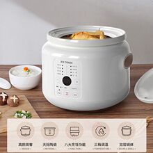 天际陶瓷电炖锅家用全自动煲汤锅炖汤锅养生锅煮粥神器宝宝辅食锅