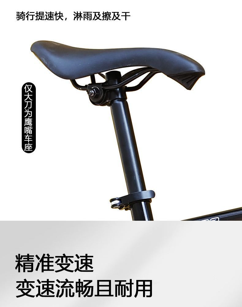 55c86b2f-18f8-45ff-b485-5a6dd7efd001.jpe