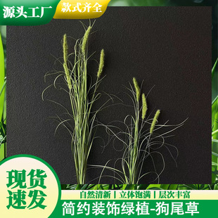 ��β�ݻ�Y���Ñ����bzӰ�����ٻ������bGֲ�����Q����Gֲ