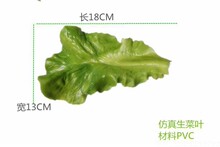 �����~�����~�ˌWУģ���~�ӳ��Д[�P�����Ĕz���������������