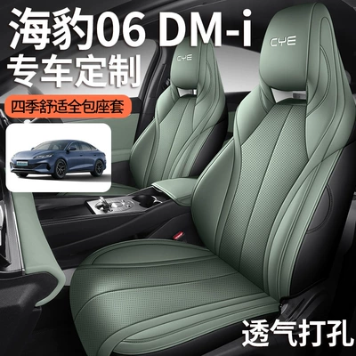 BYD Seal 06dmi Special Car | Four Seasons Pad